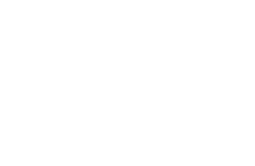 Safenest Logo